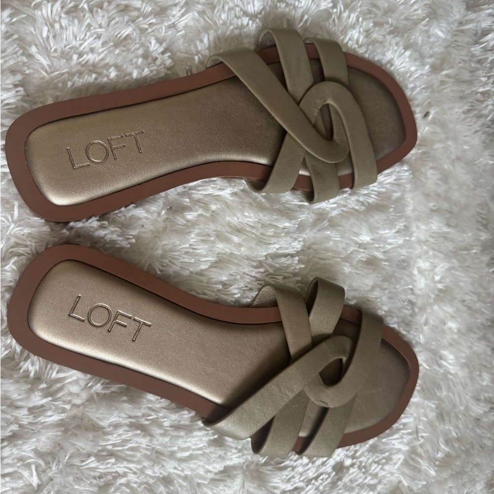 LOFT Women's Metallic and Tan Sandals